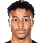 松科头像,松科图片